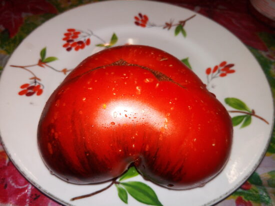 Украшение Калейдоскопа